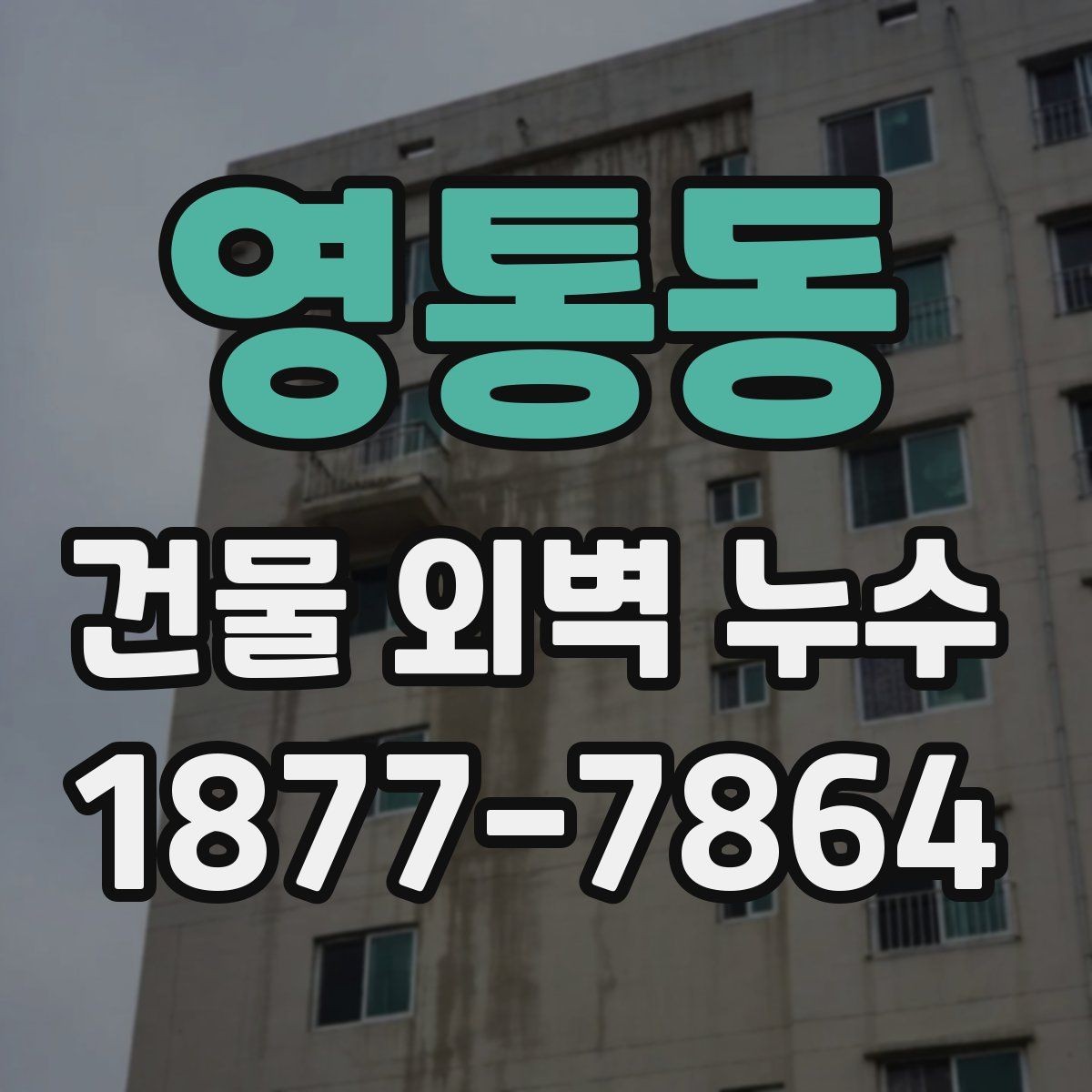 영통동 건물 외벽 누수 수리 업체 선택 시 기준