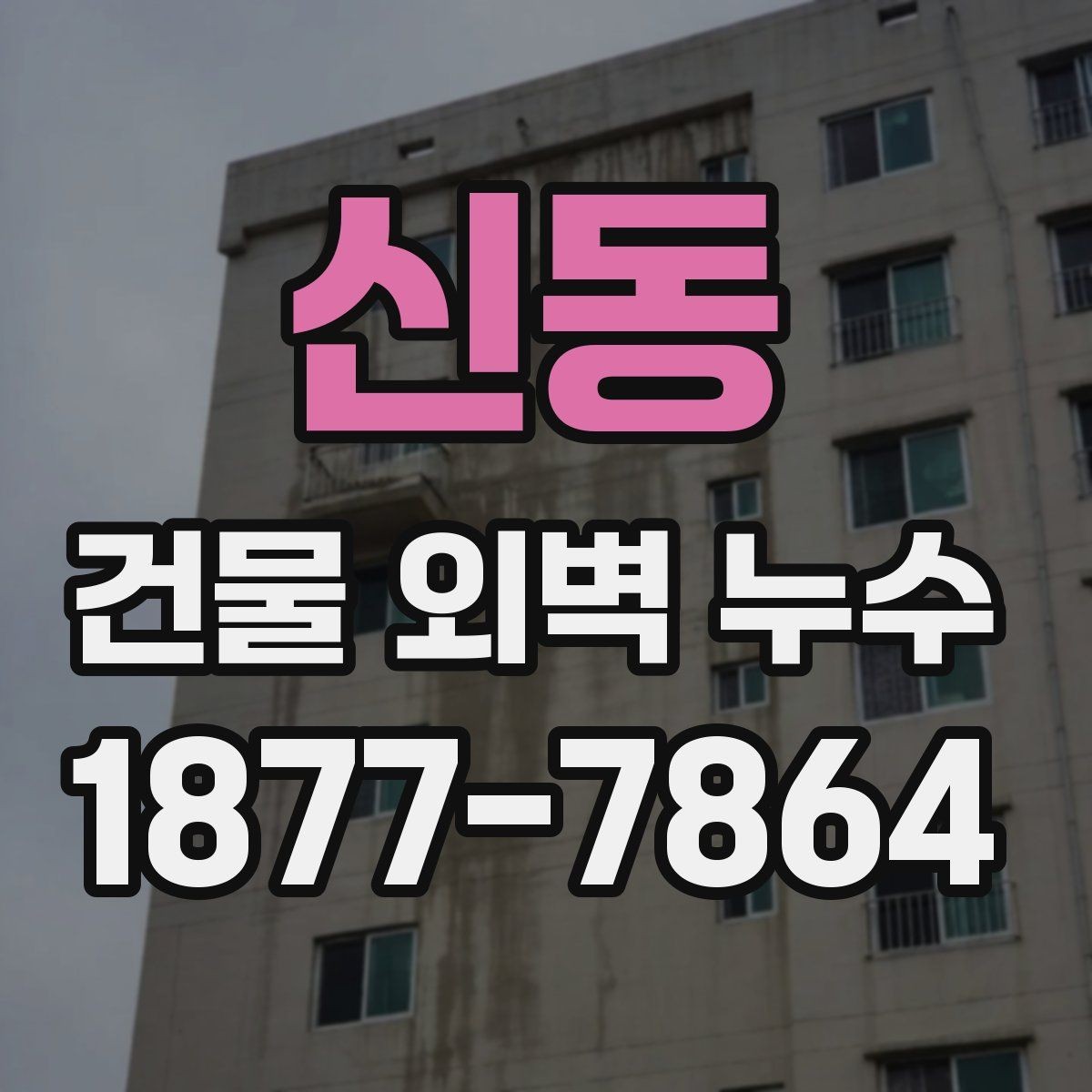 신동 건물 외벽 누수 발생 원인을 줄이는 유지관리