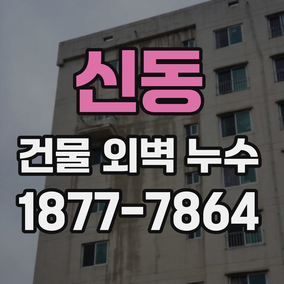 신동 건물 외벽 누수