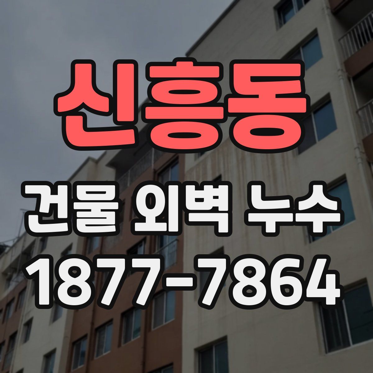 신흥동 건물 외벽 누수