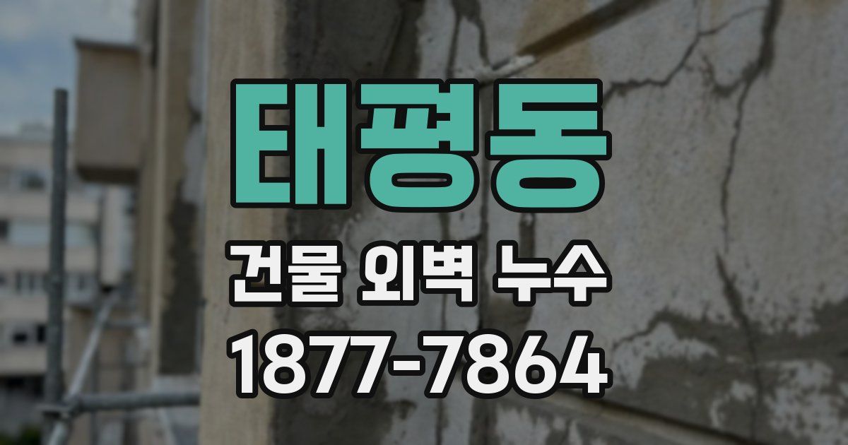 태평동 건물 외벽 누수