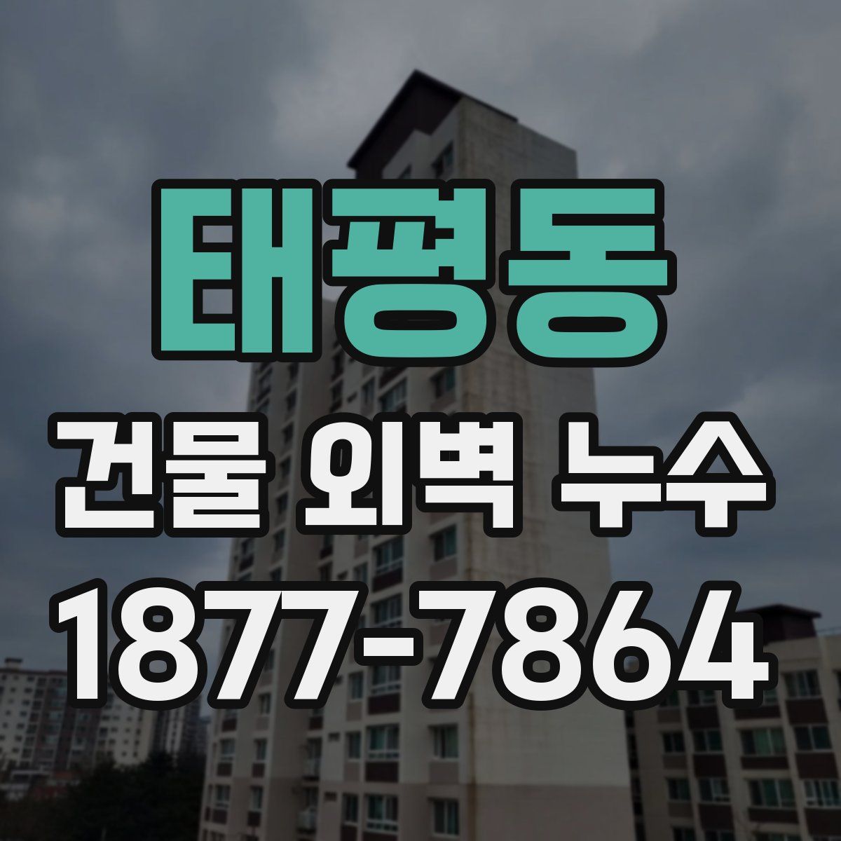 태평동 건물 외벽 누수
