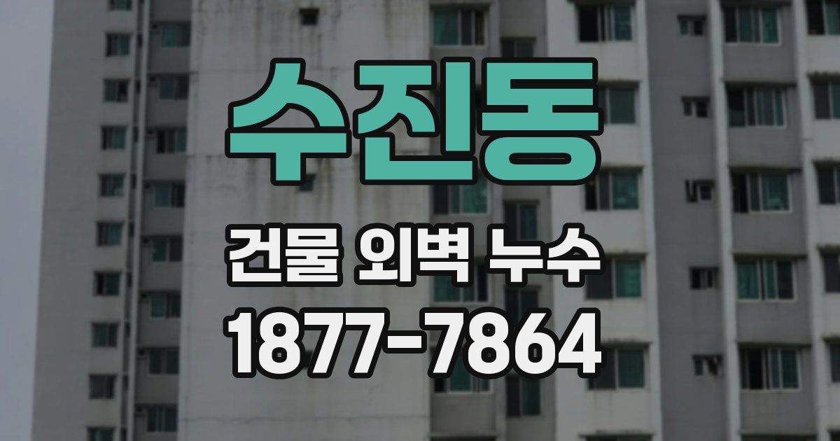 수진동 건물 외벽 누수