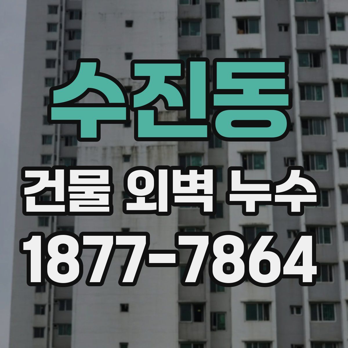 수진동 건물 외벽 누수