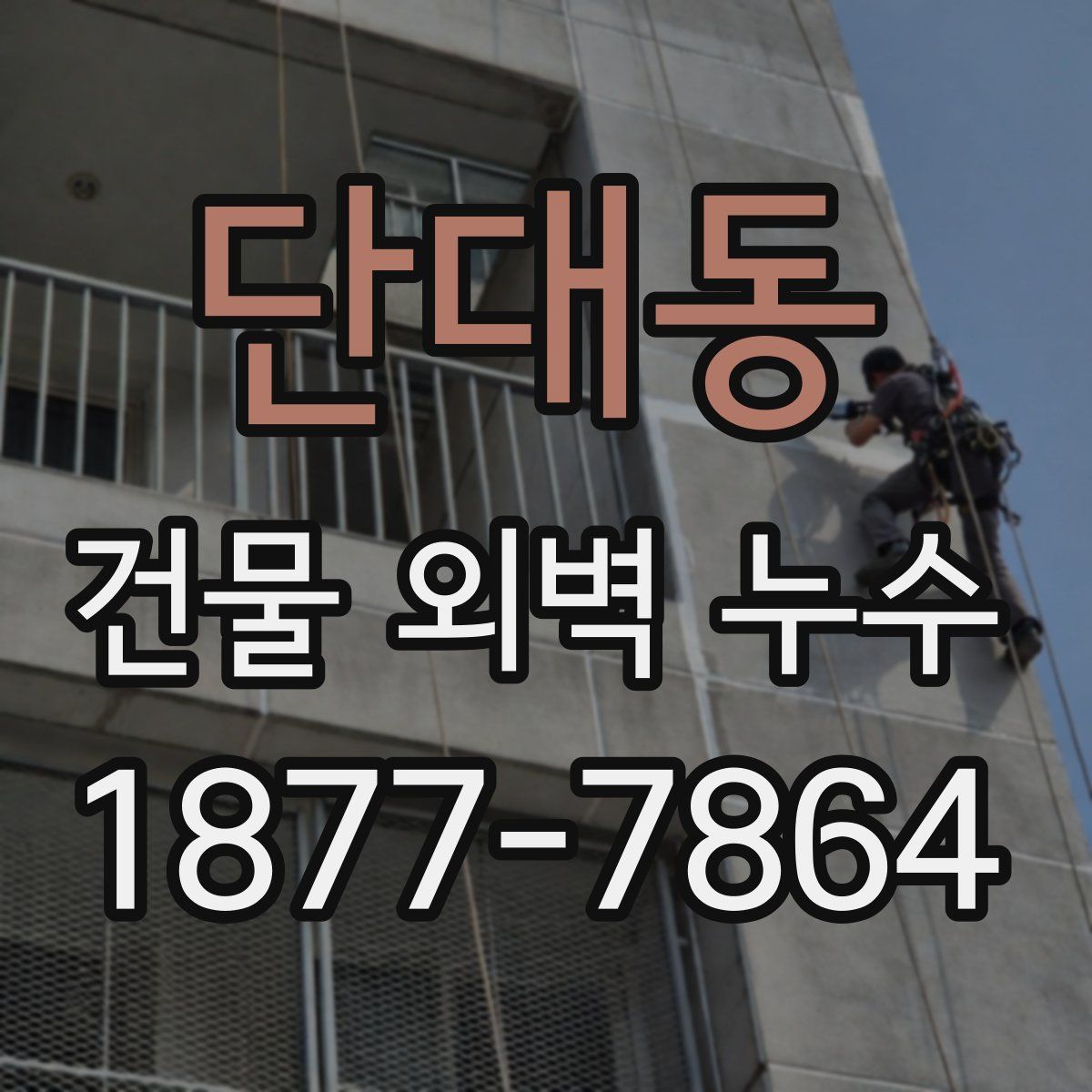 단대동 건물 외벽 누수