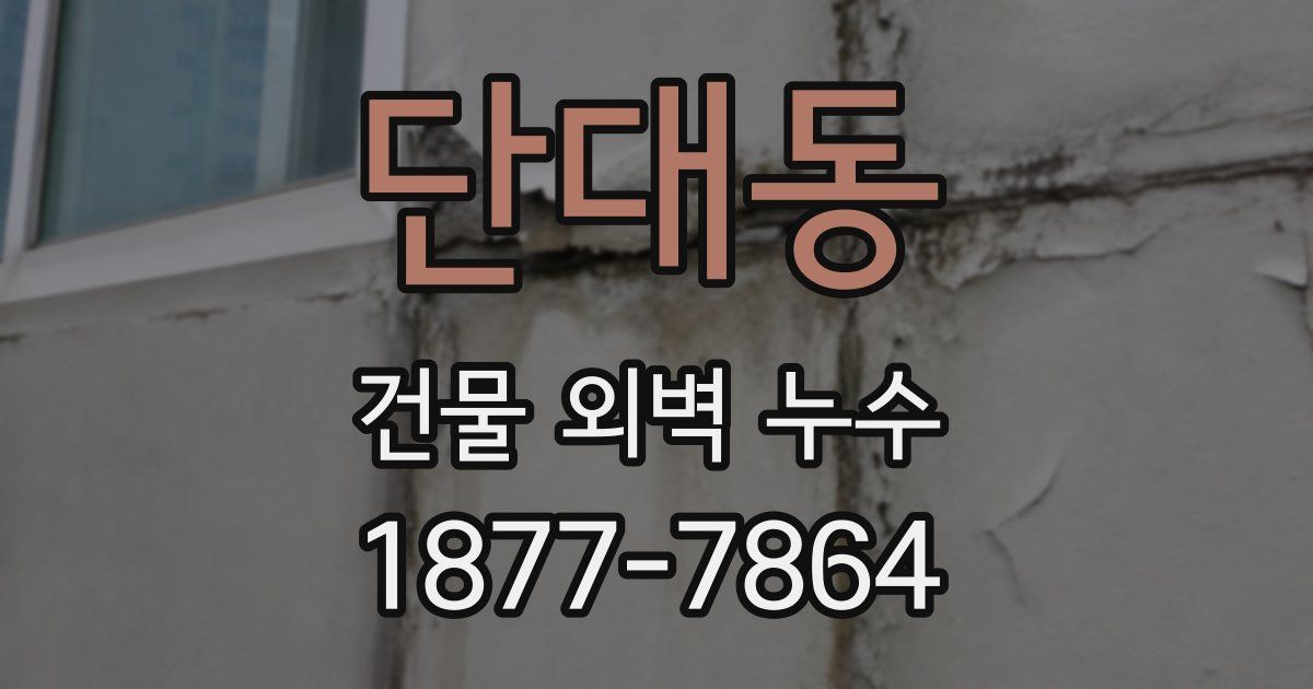 단대동 건물 외벽 누수