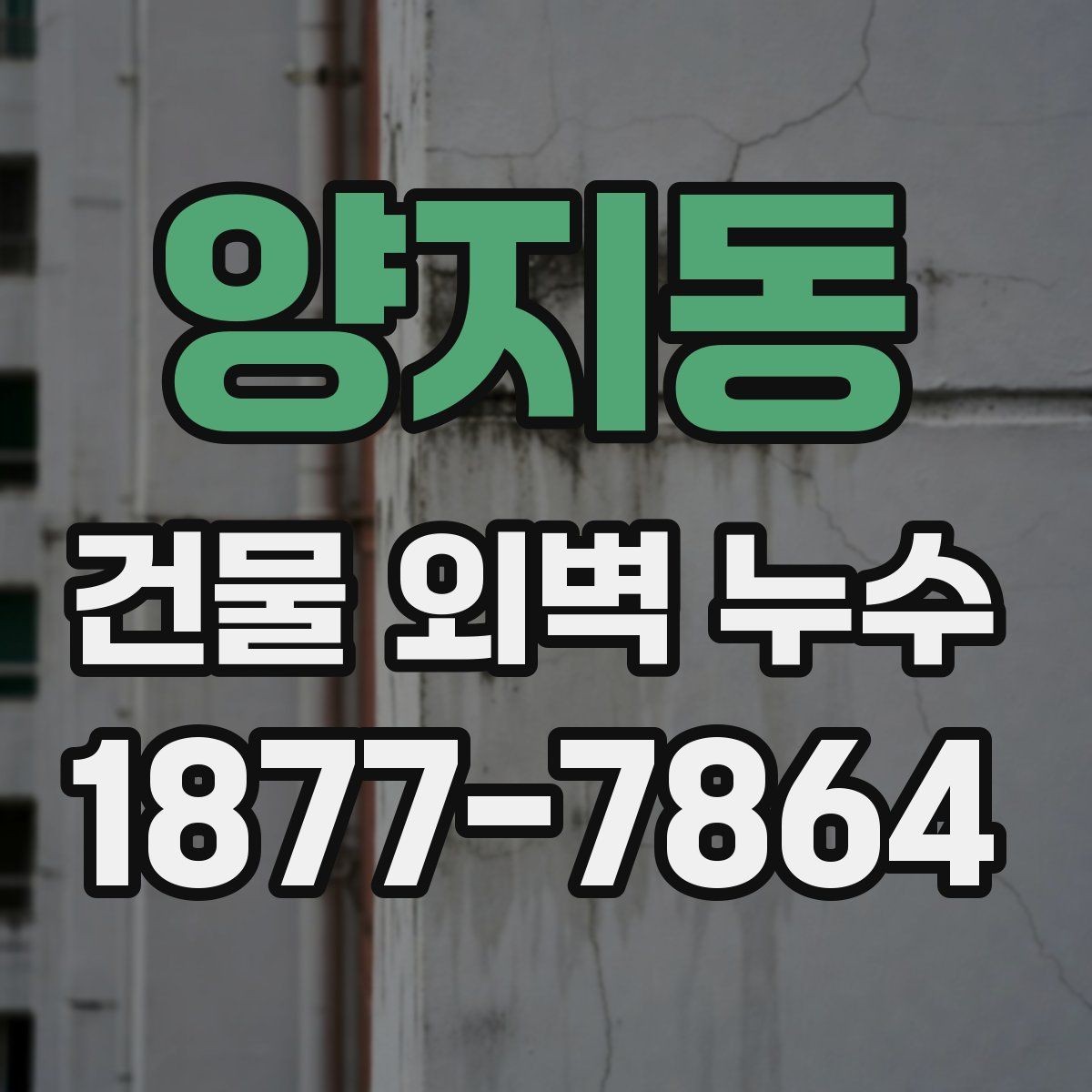 양지동 건물 외벽 누수 확인 후 대응 우선순위