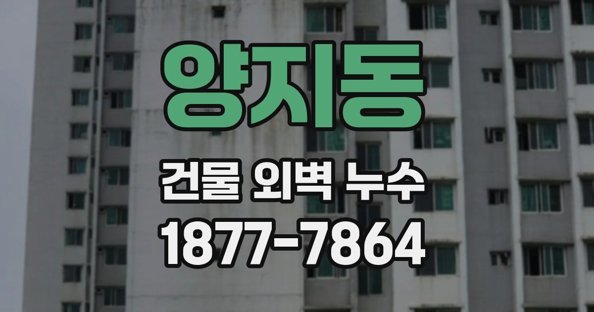 양지동 건물 외벽 누수
