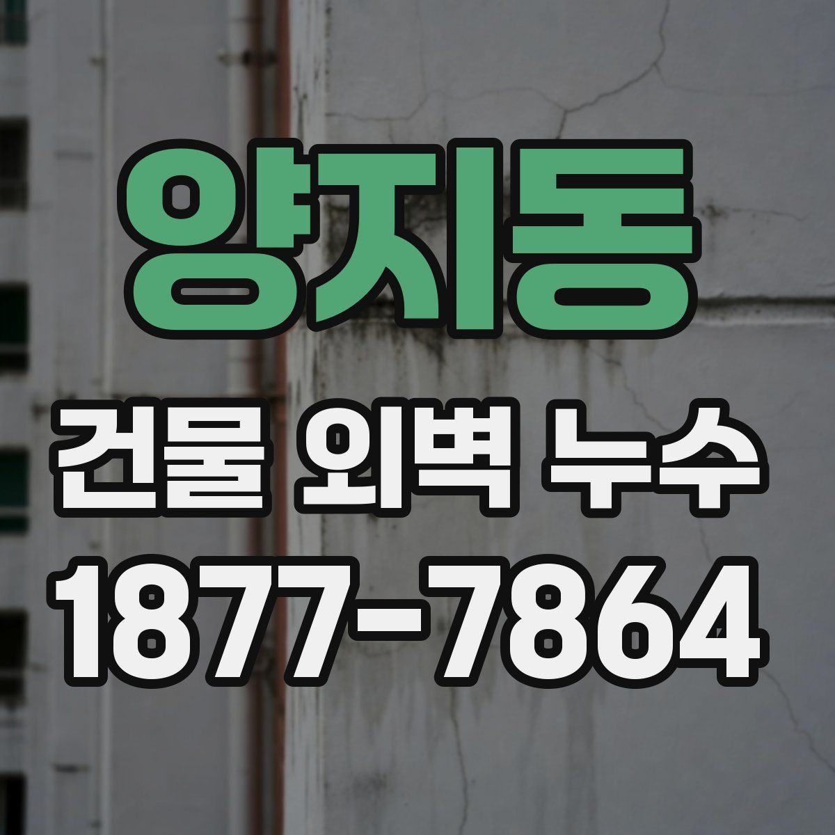 양지동 건물 외벽 누수