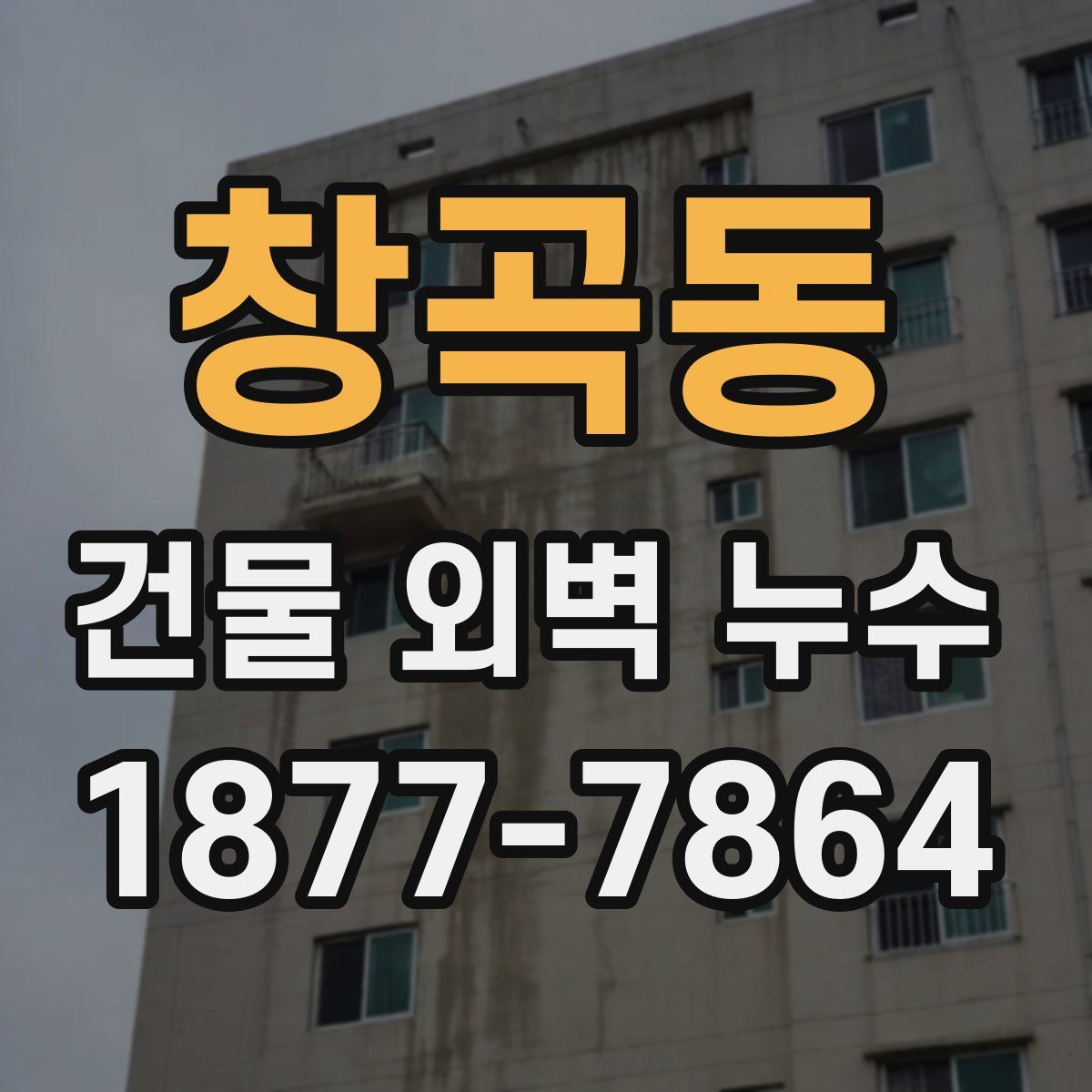 창곡동 건물 외벽 누수
