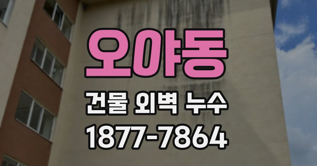 오야동 건물 외벽 누수