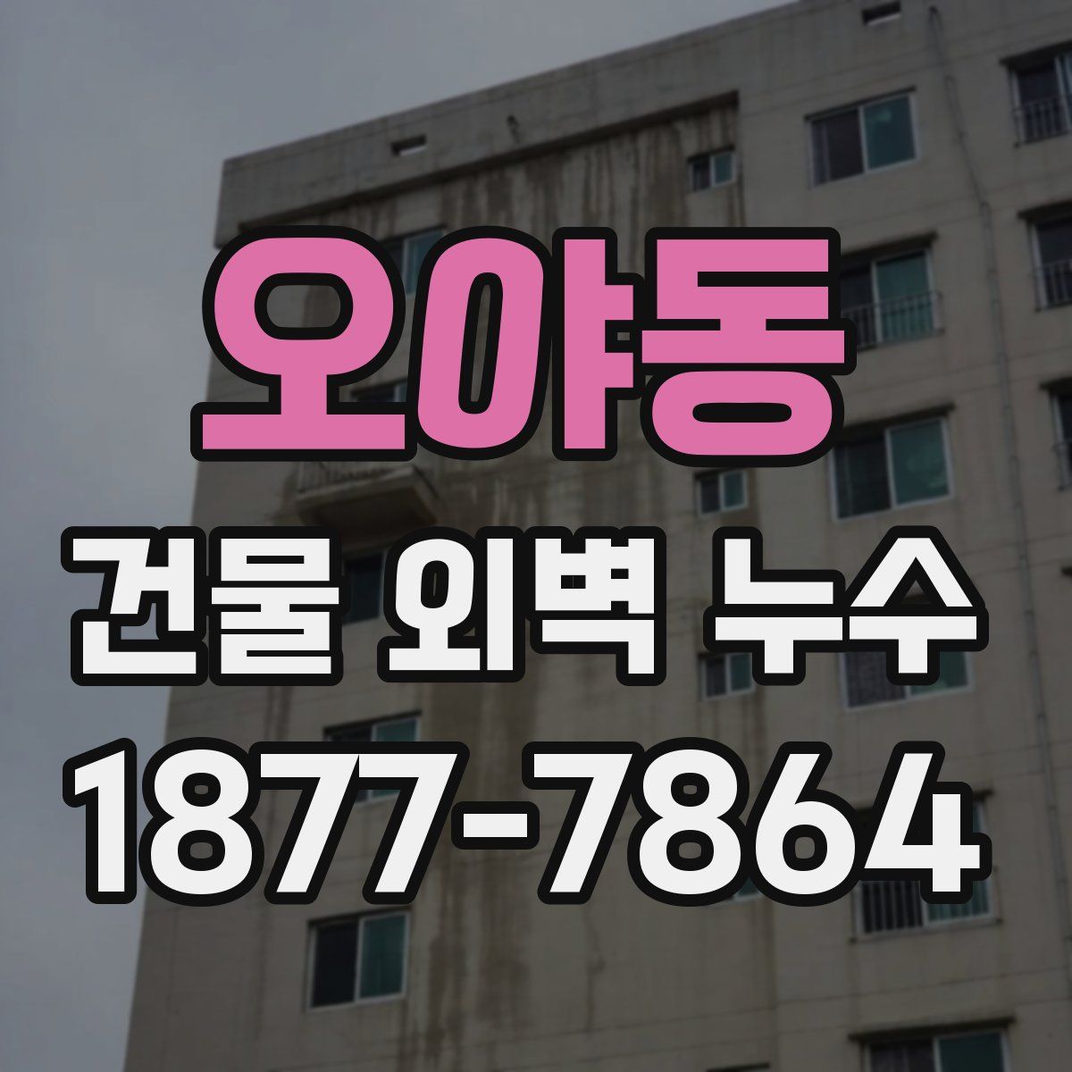 오야동 건물 외벽 누수