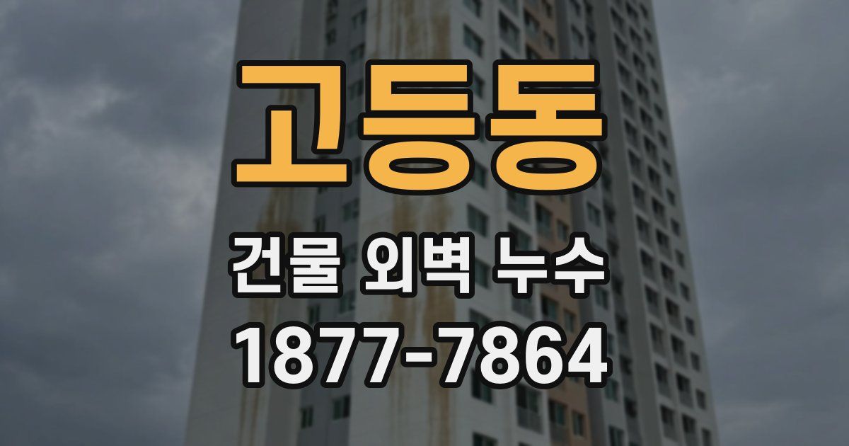 고등동 건물 외벽 누수