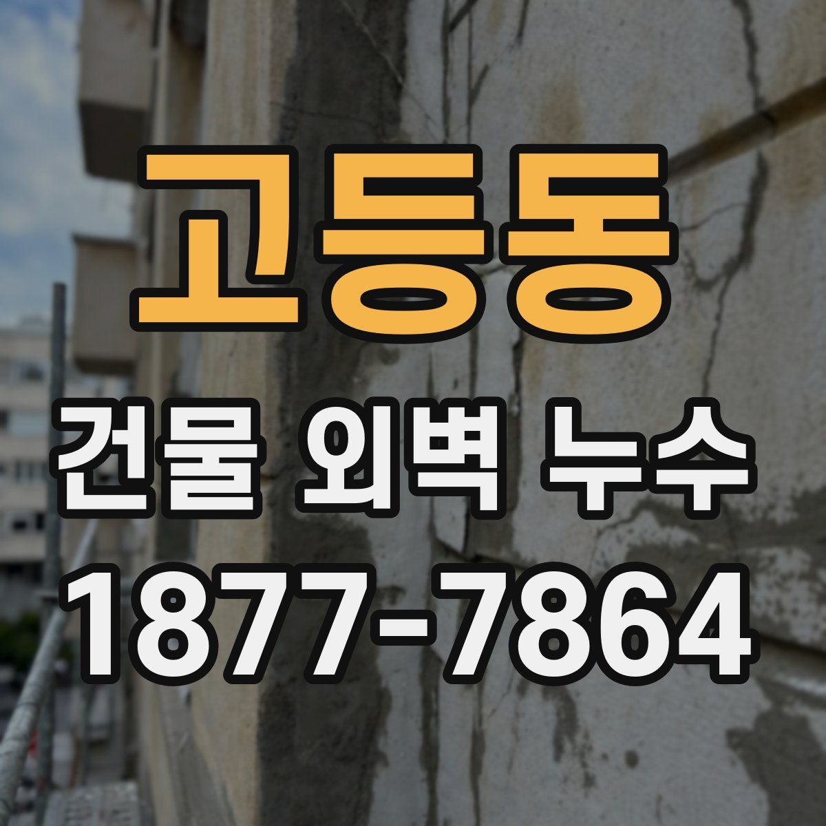 고등동 건물 외벽 누수