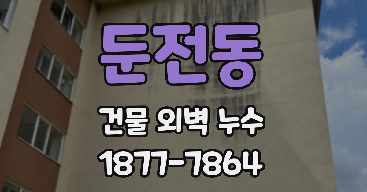 둔전동 건물 외벽 누수