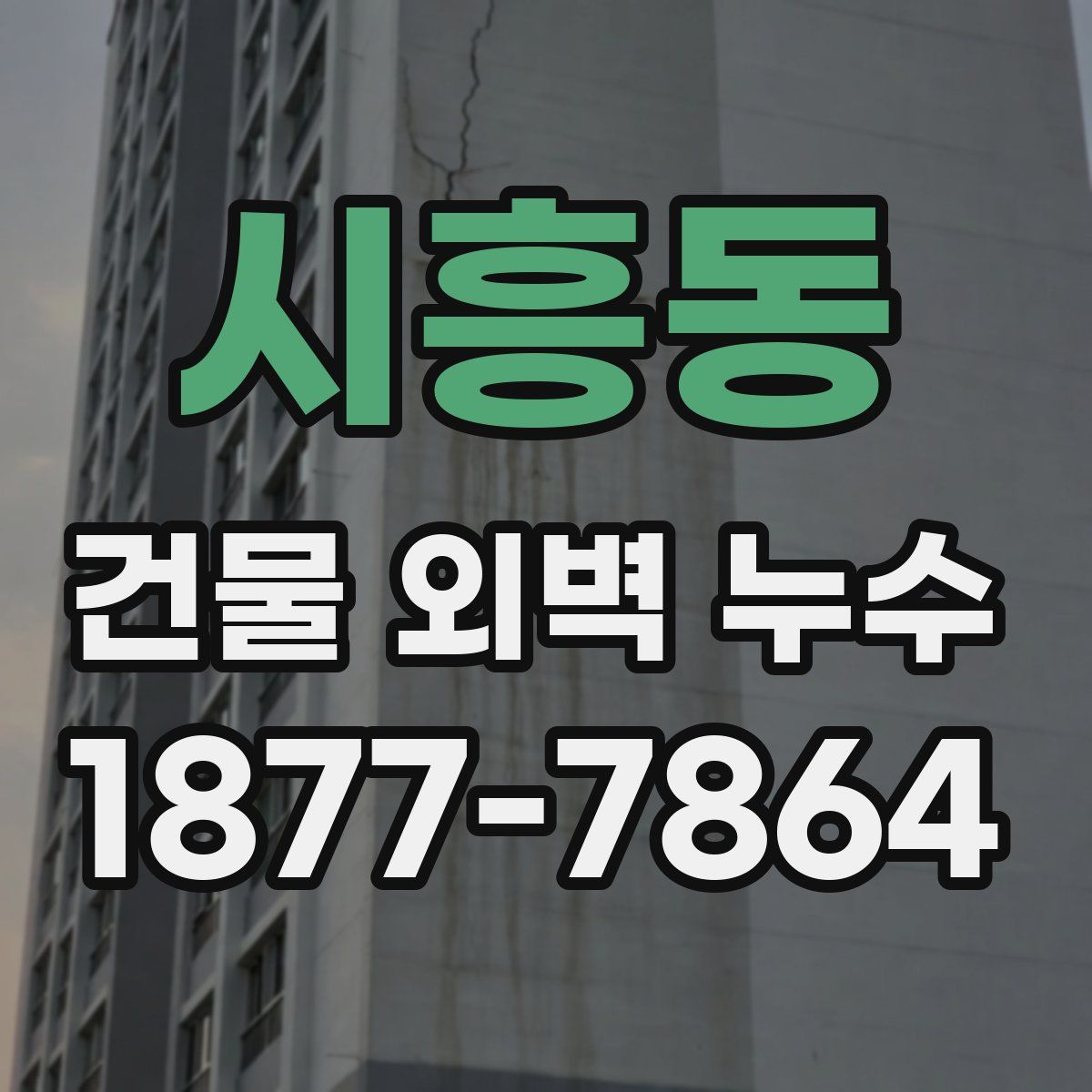 시흥동 건물 외벽 누수
