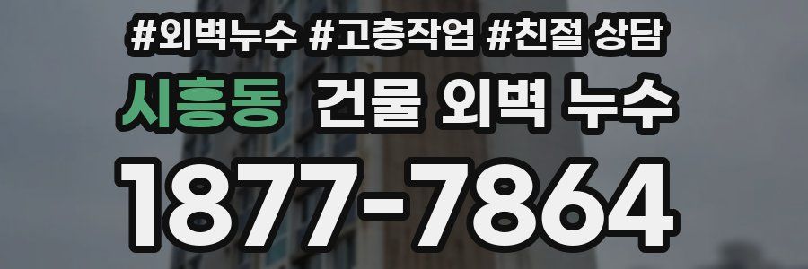 시흥동 건물 외벽 누수