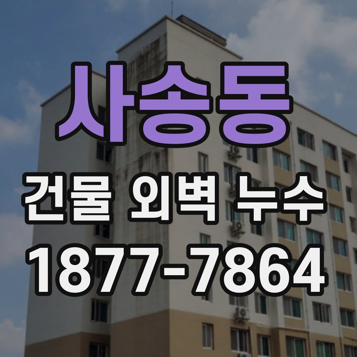 사송동 건물 외벽 누수