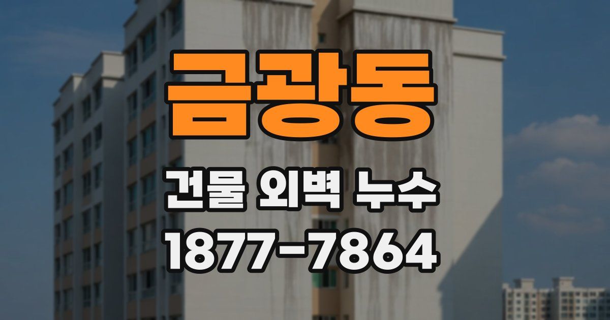 금광동 건물 외벽 누수
