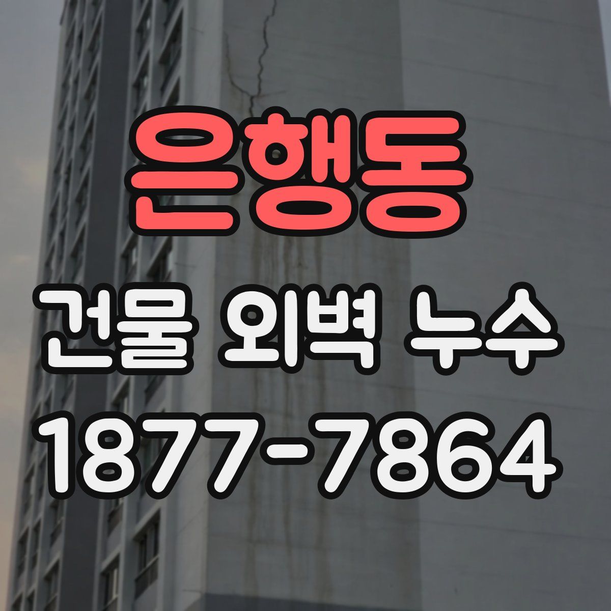 은행동 건물 외벽 누수