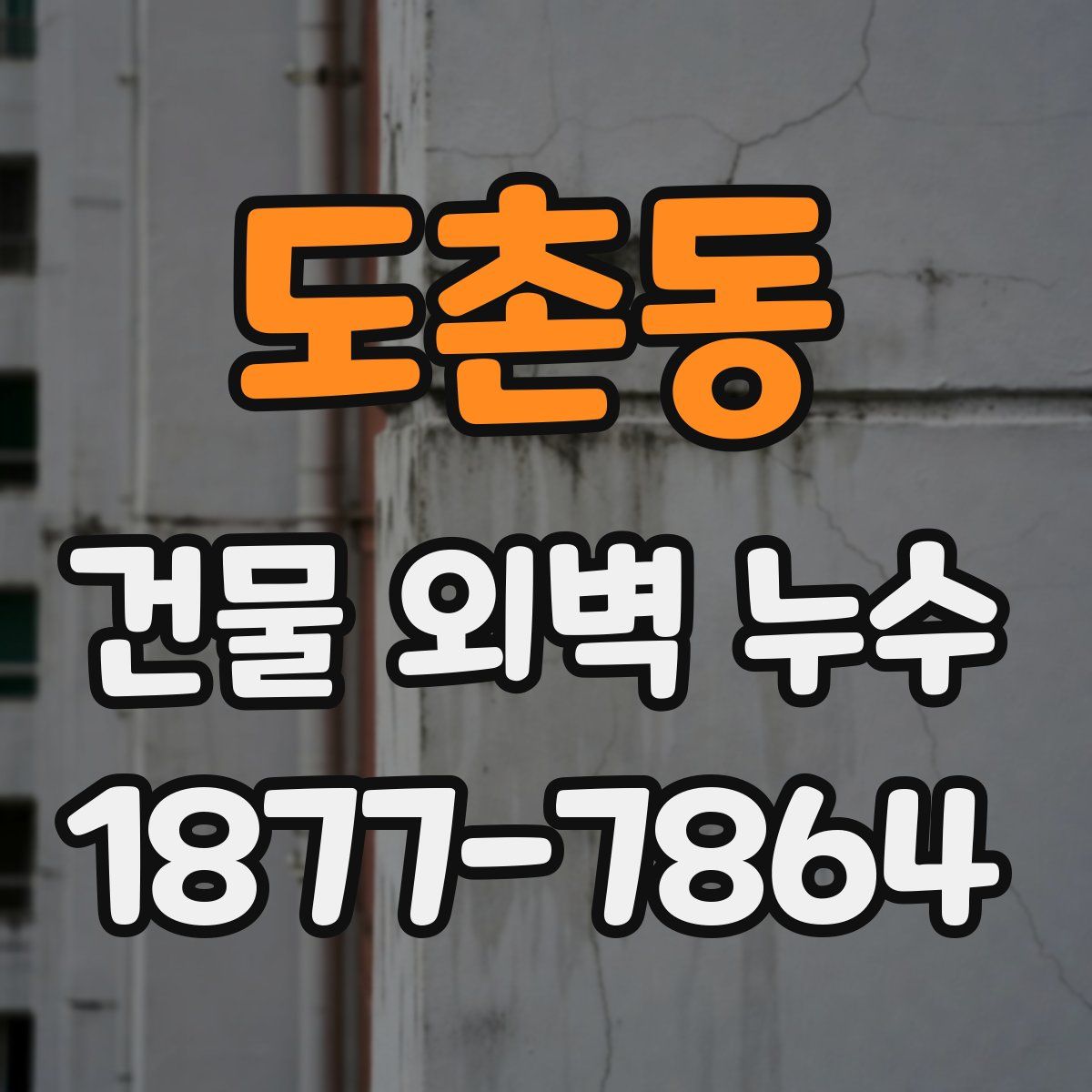 도촌동 건물 외벽 누수