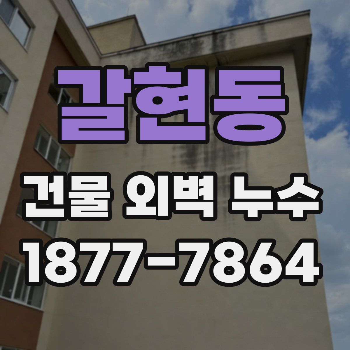 갈현동 건물 외벽 누수