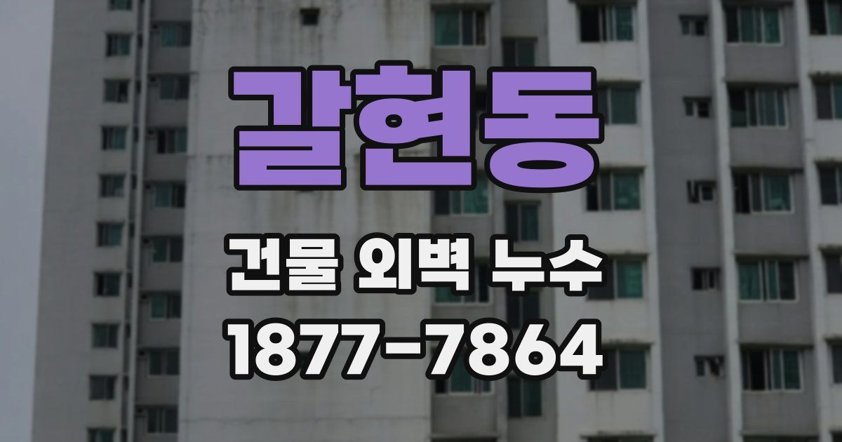 갈현동 건물 외벽 누수