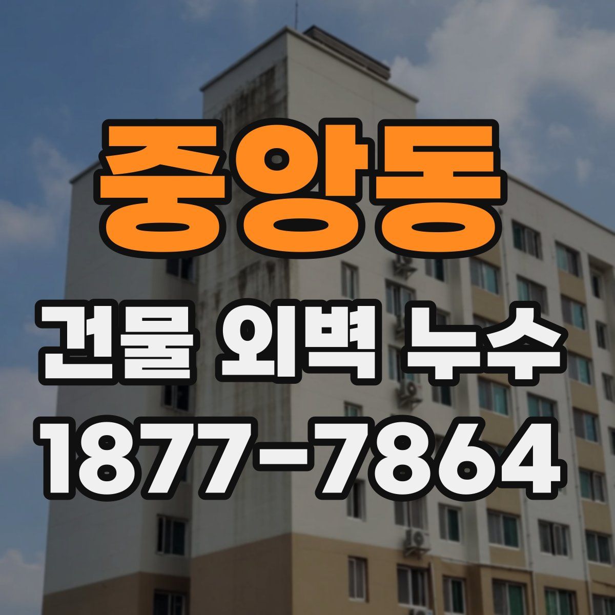 중앙동 건물 외벽 누수