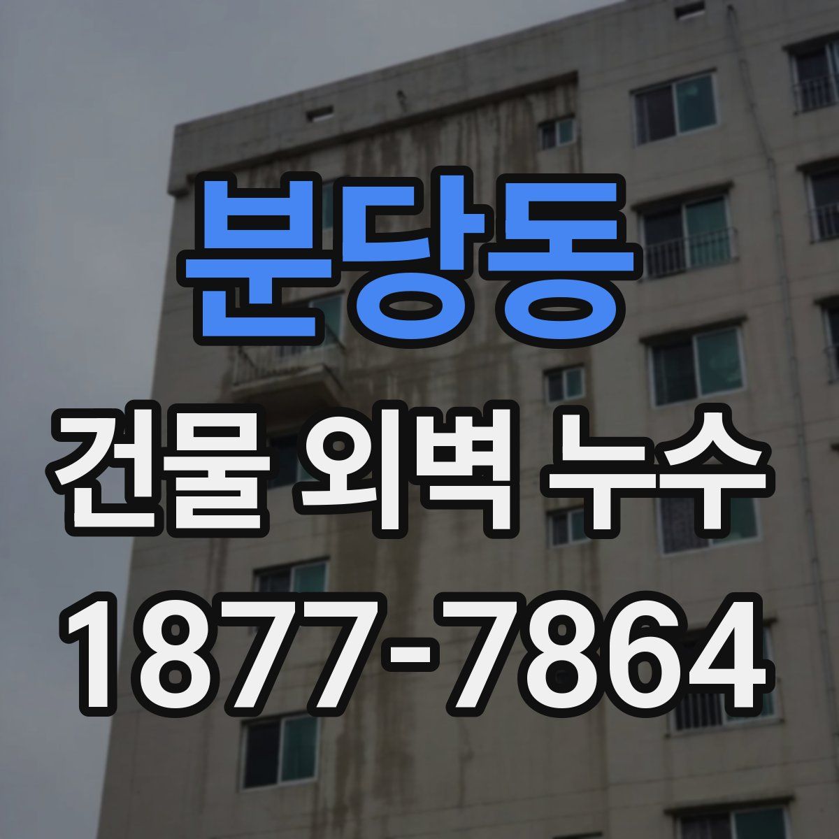 분당동 건물 외벽 누수
