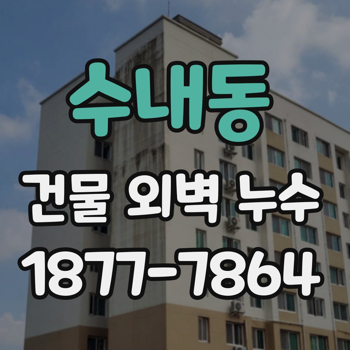 수내동 건물 외벽 누수