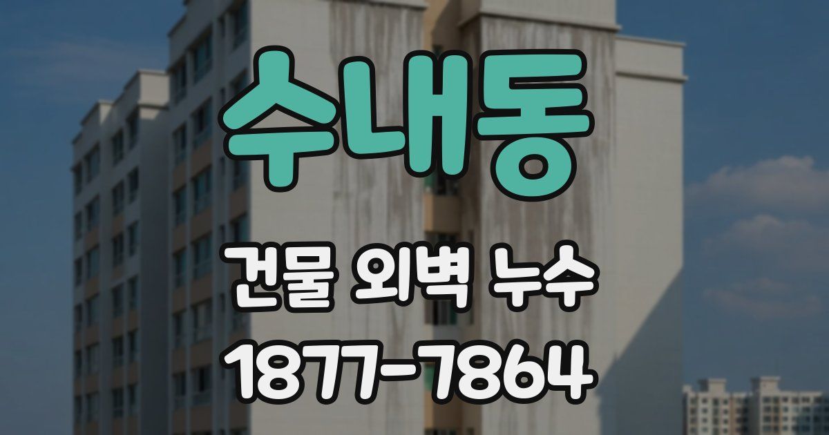 수내동 건물 외벽 누수