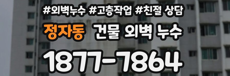 정자동 건물 외벽 누수