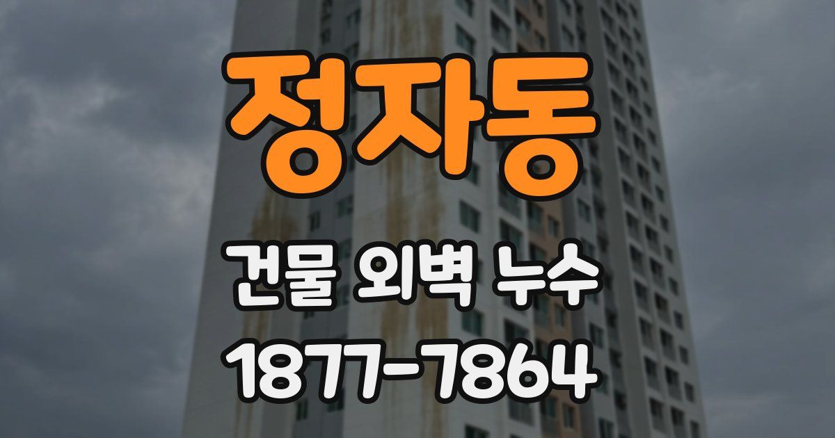정자동 건물 외벽 누수