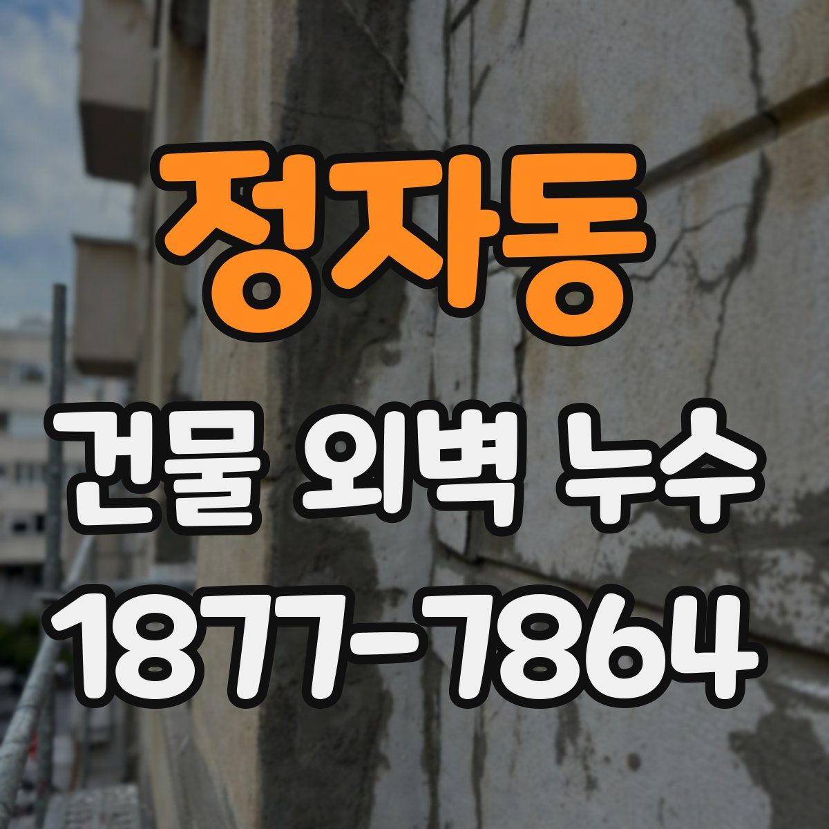 정자동 건물 외벽 누수