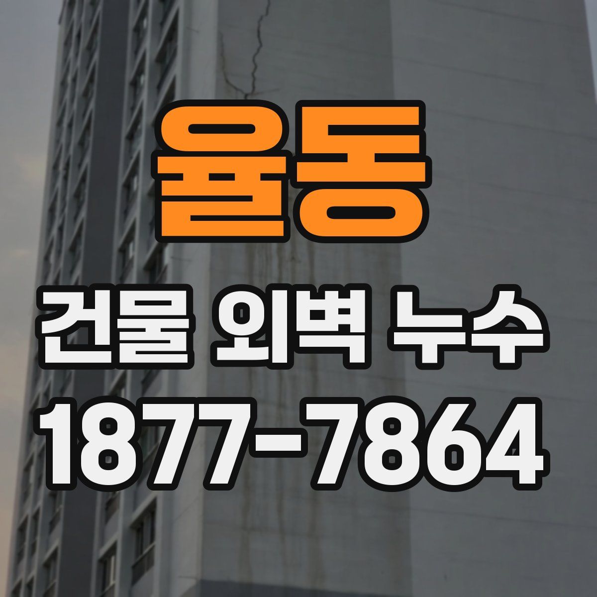 율동 건물 외벽 누수