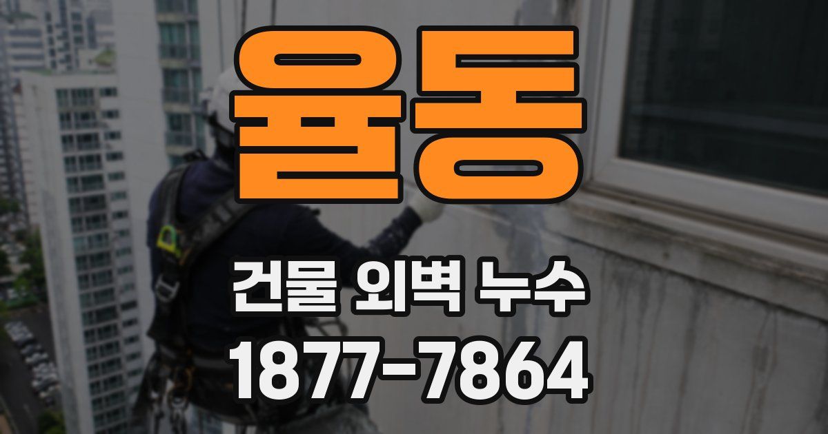 율동 건물 외벽 누수