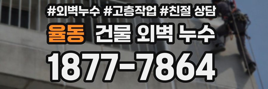 율동 건물 외벽 누수