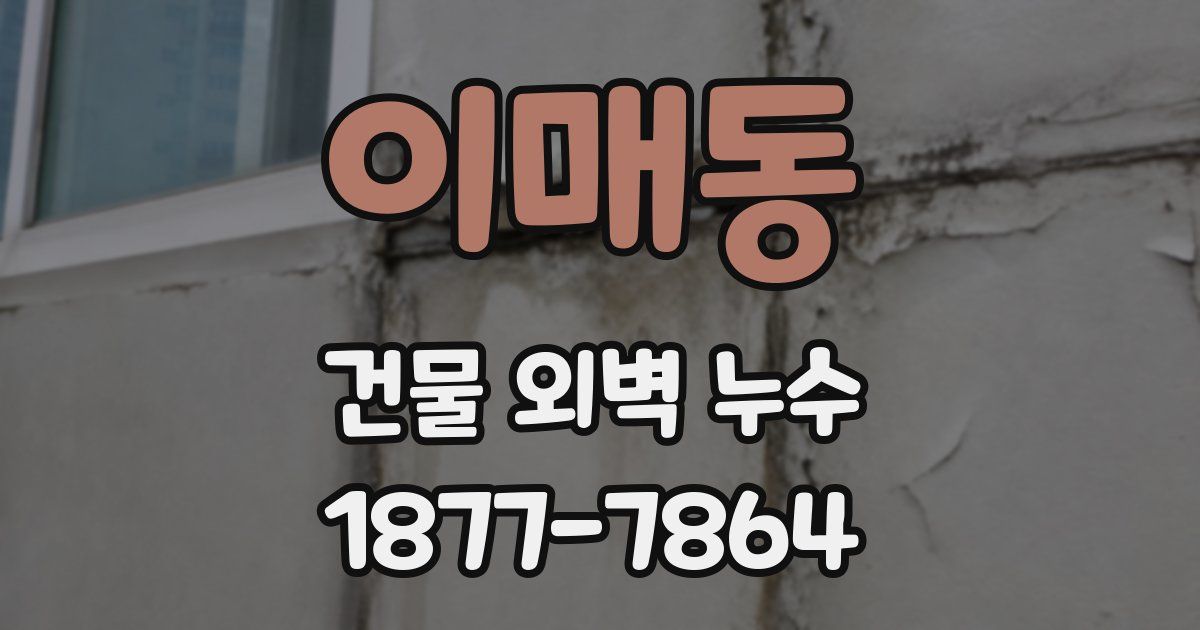 이매동 건물 외벽 누수