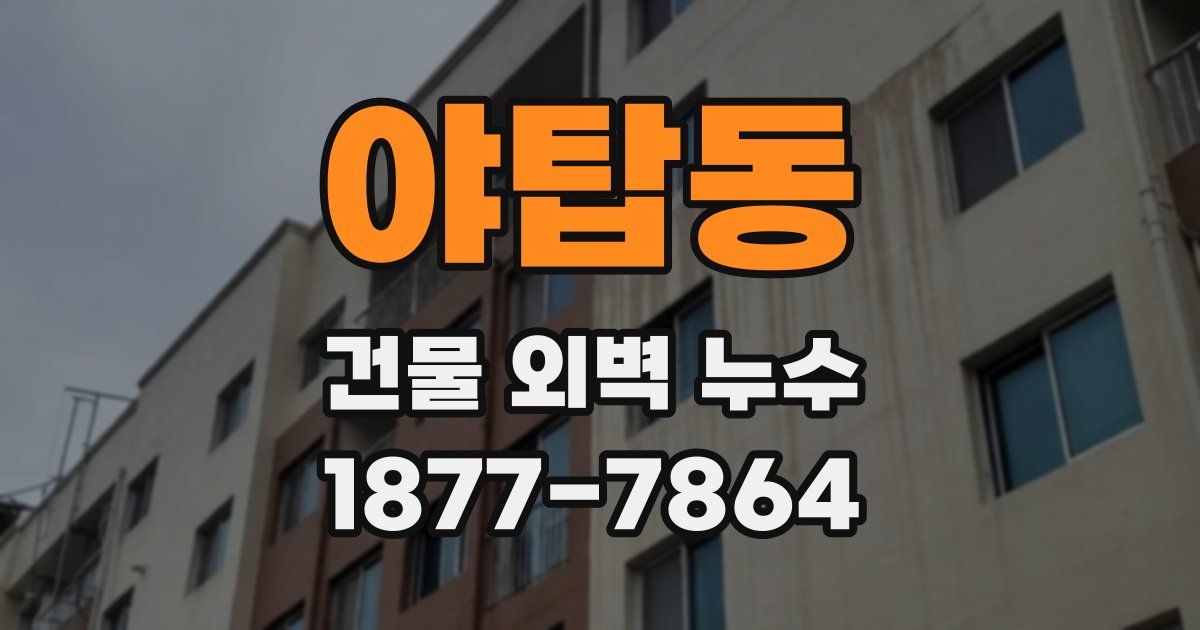 야탑동 건물 외벽 누수