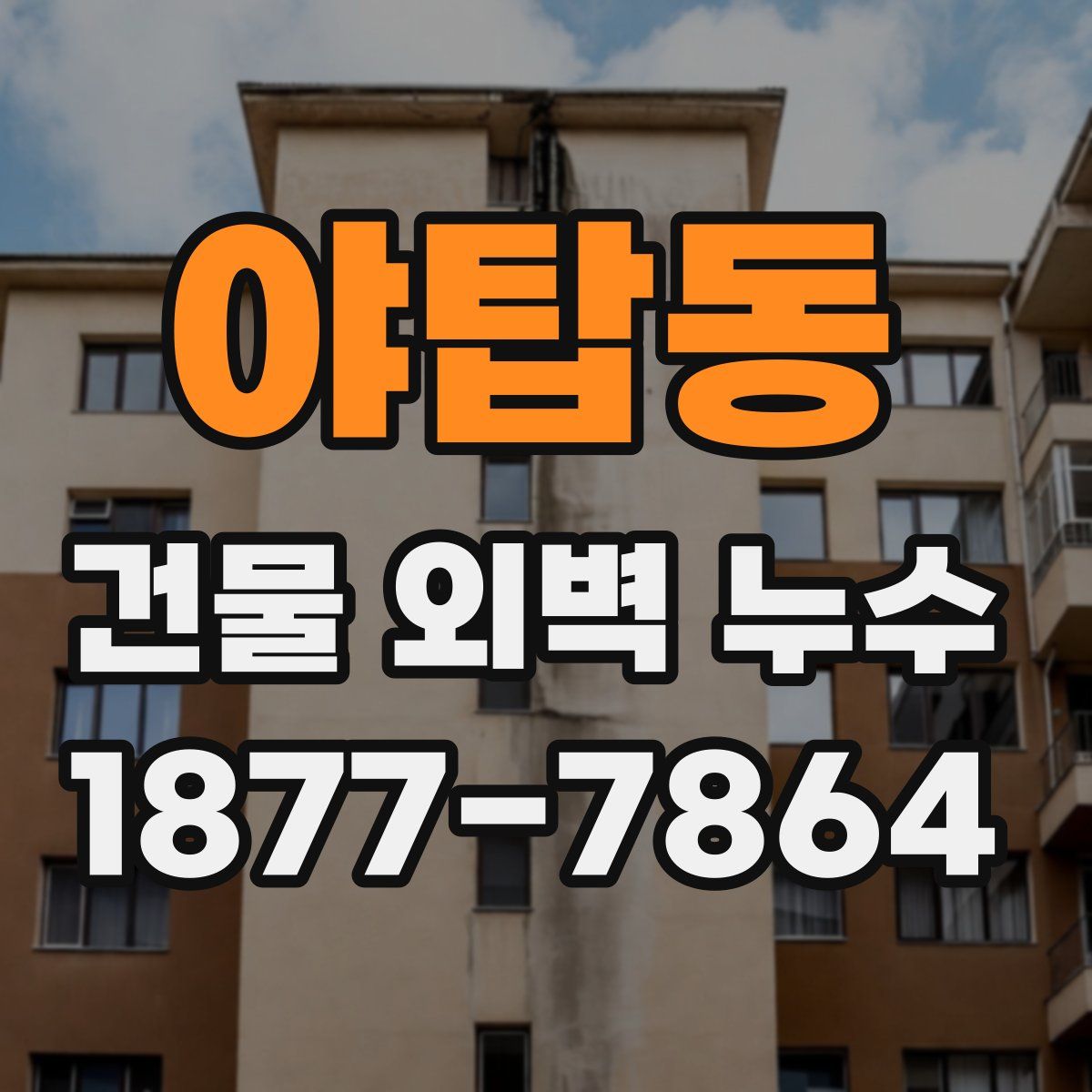 야탑동 건물 외벽 누수