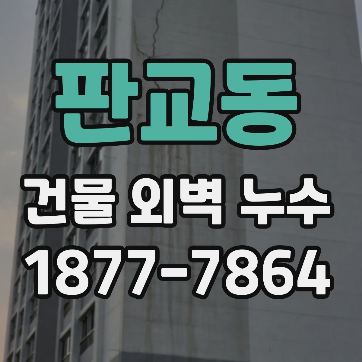 판교동 건물 외벽 누수 수리 전 알아야 할 체크 항목