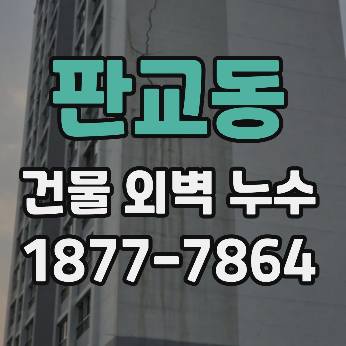 판교동 건물 외벽 누수