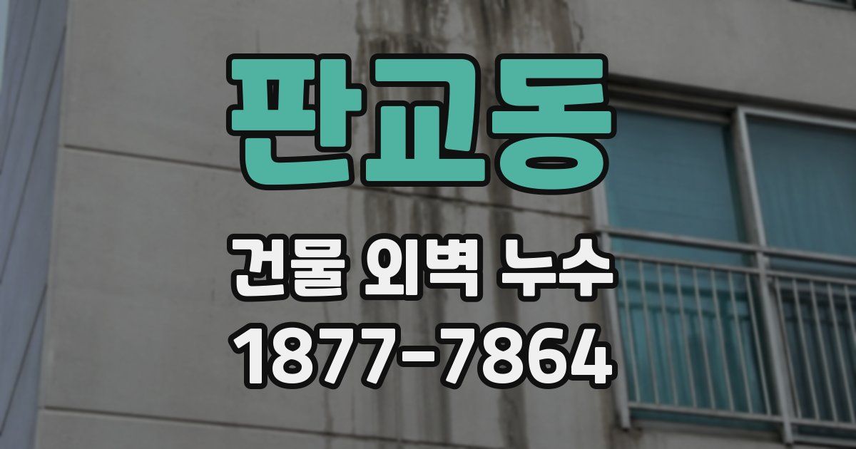 판교동 건물 외벽 누수
