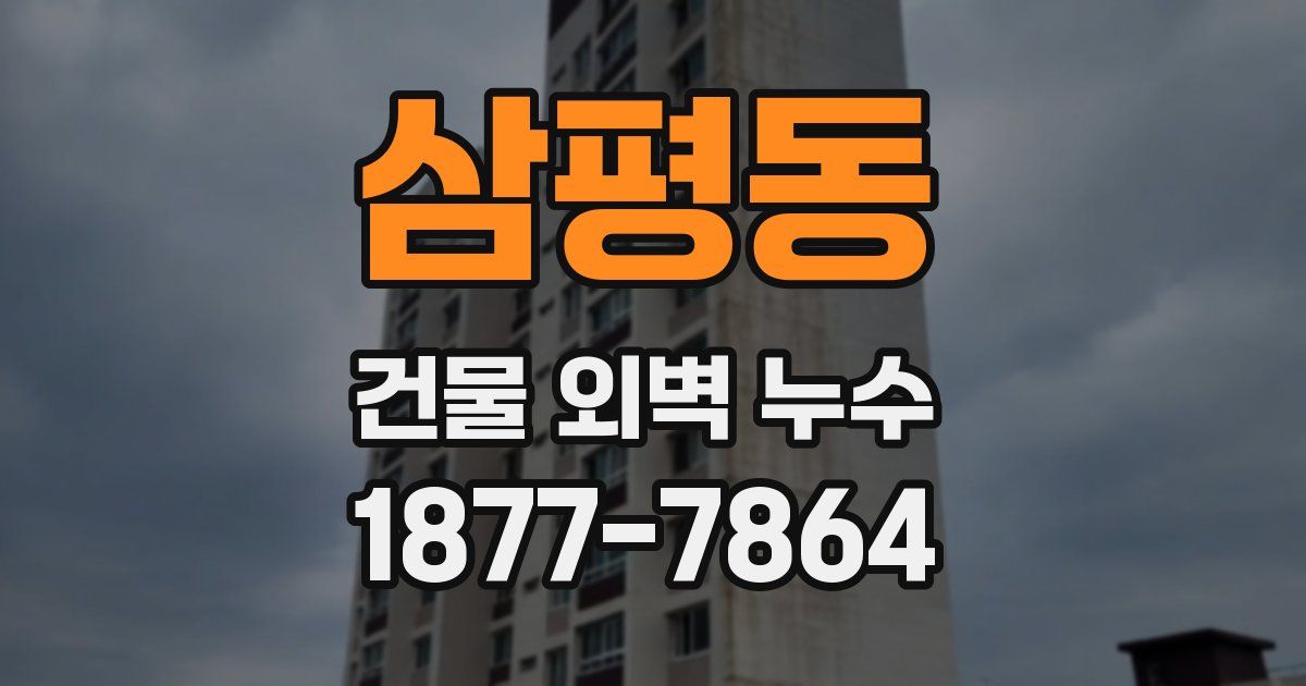 삼평동 건물 외벽 누수