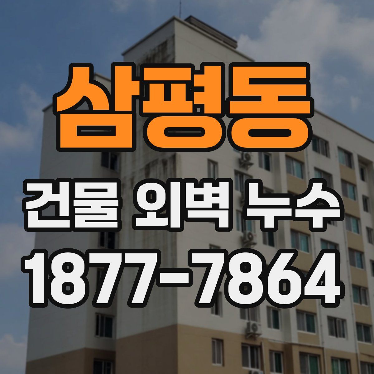 삼평동 건물 외벽 누수