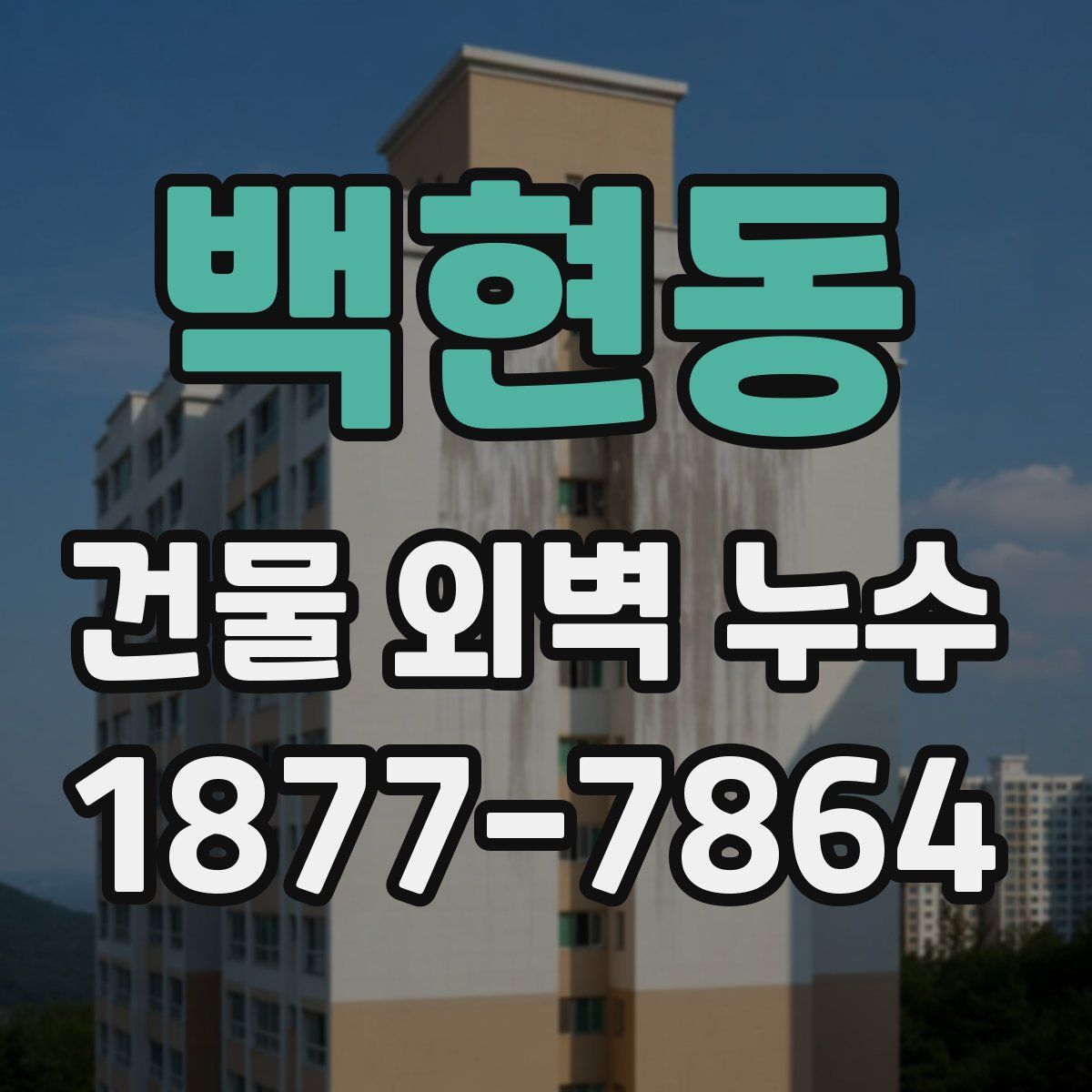 백현동 건물 외벽 누수