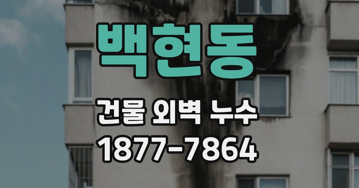 백현동 건물 외벽 누수
