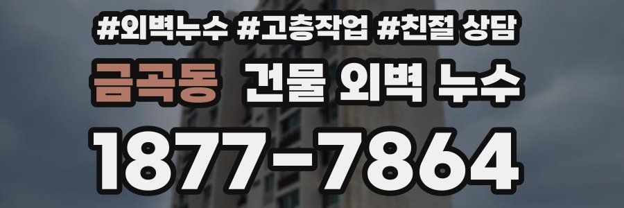 금곡동 건물 외벽 누수