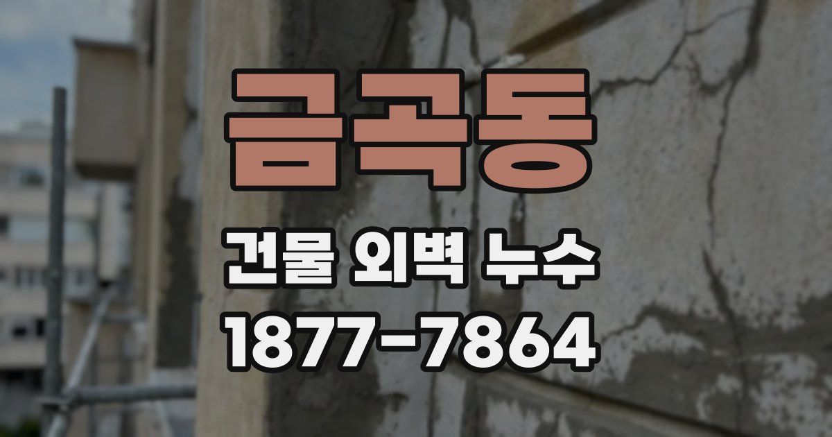 금곡동 건물 외벽 누수