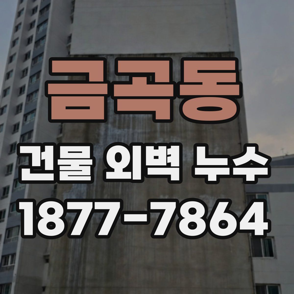 금곡동 건물 외벽 누수